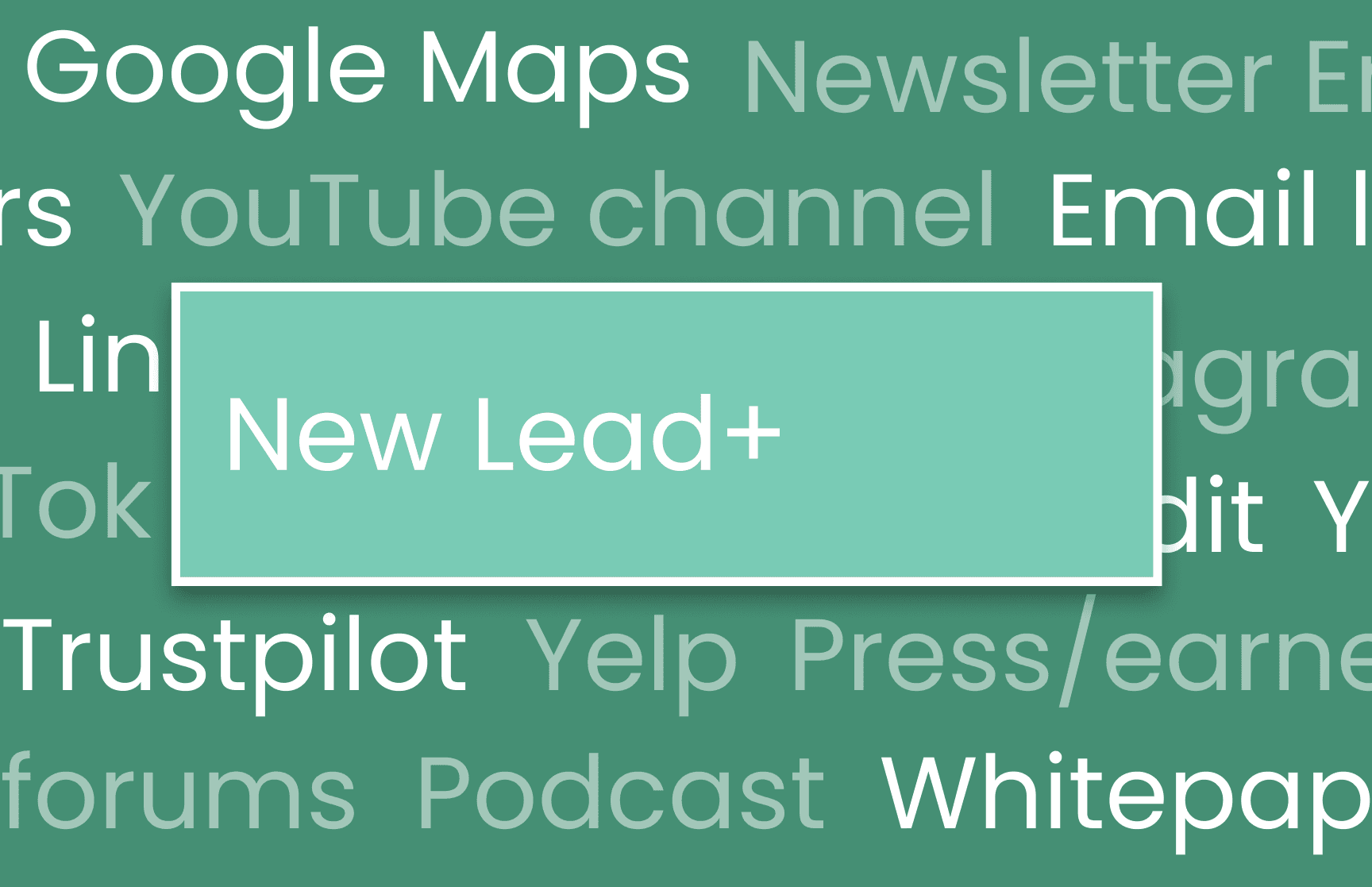 Streamlined Lead Management
